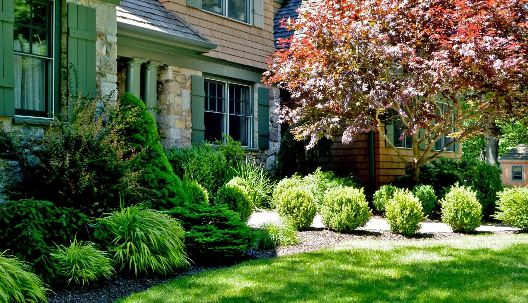 Tree & Shrub Planting